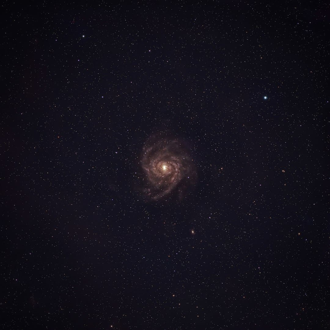 王星越白鹿欢喜冤家互动揭秘：从《周生如故》到《唐宫奇案》